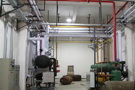 探究正確選購水果冷庫的竅門(圖1) 水果冷庫