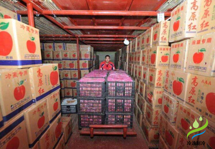 安裝一個蘋果保鮮冷庫大概多少錢？