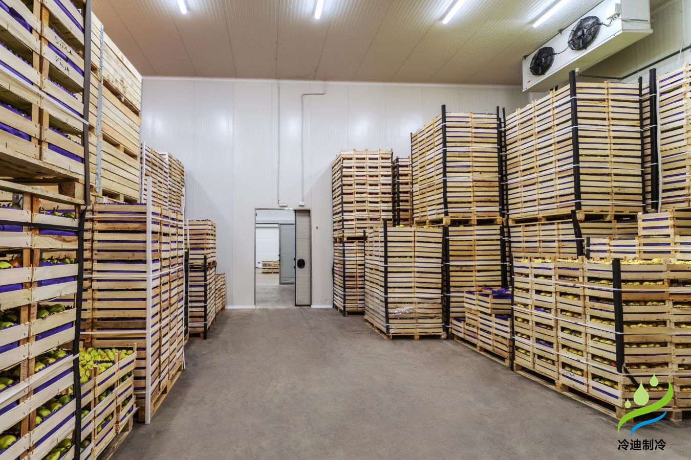 不同規模保鮮冷庫造價榜單，保鮮冷庫耗電量表