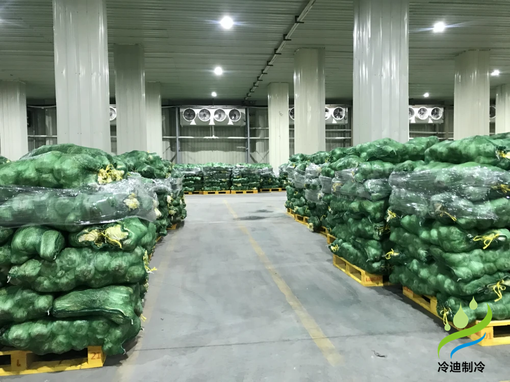 安裝1000噸果蔬保鮮冷庫造價(jià)大概多少錢？