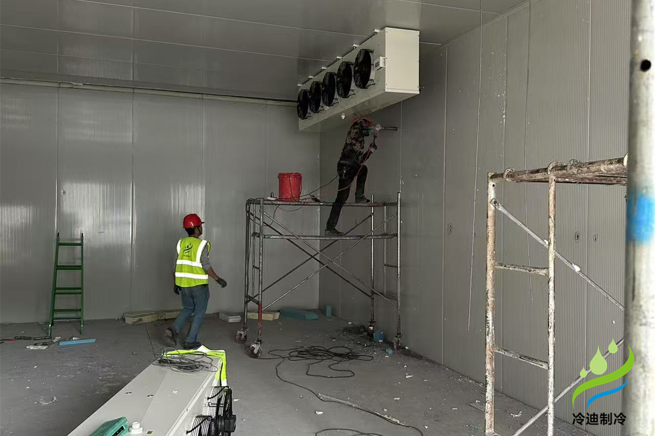 浙江杭州500立方醫藥冷庫建造案例(圖1) 醫藥冷庫