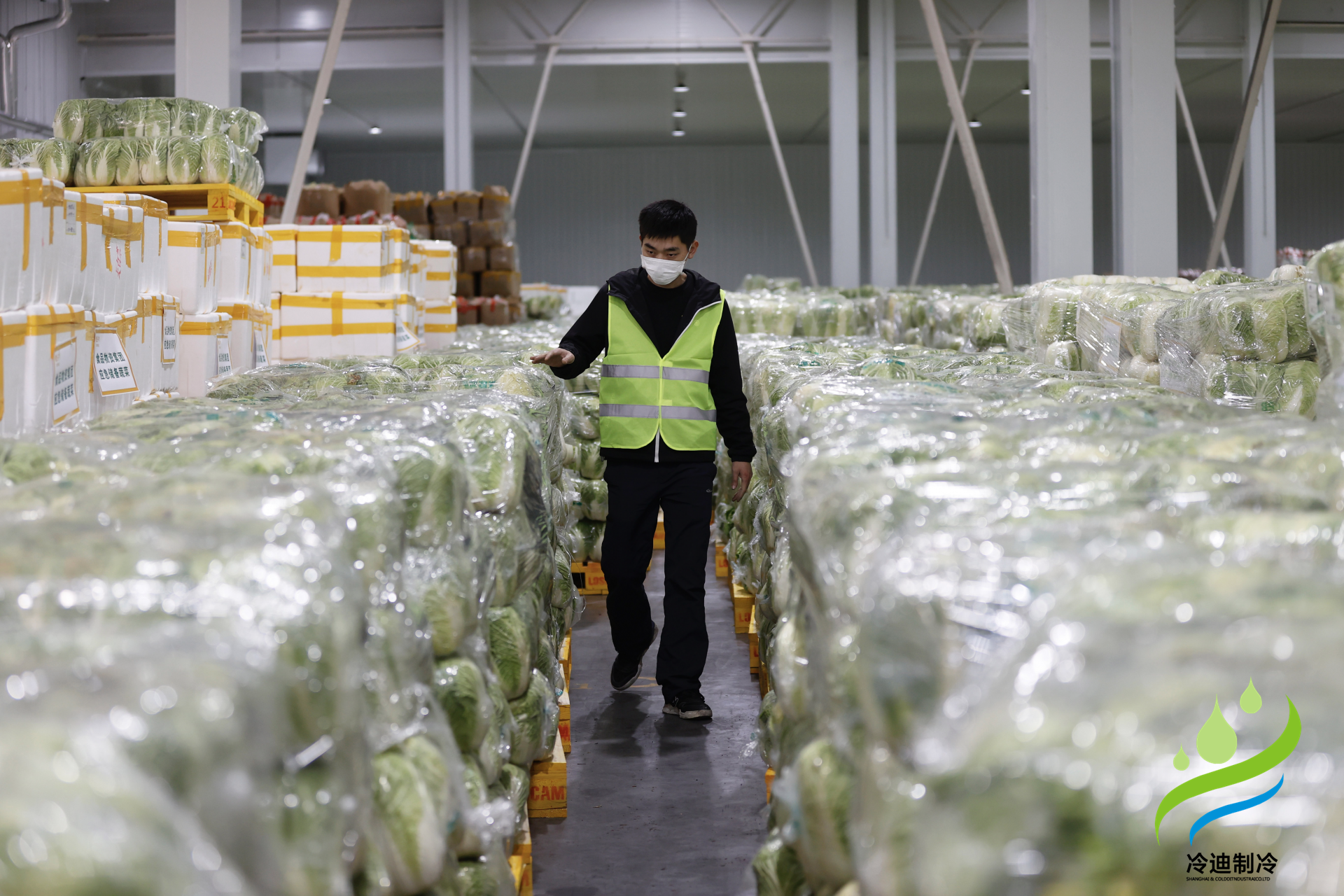 安裝一個生鮮冷鏈冷庫需要多少錢？(圖2)