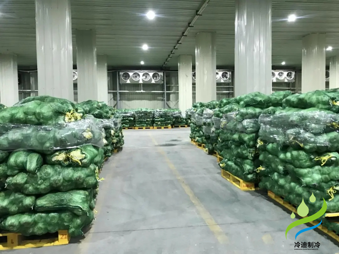 建造根莖類蔬菜冷藏庫需要多少錢?(圖1)